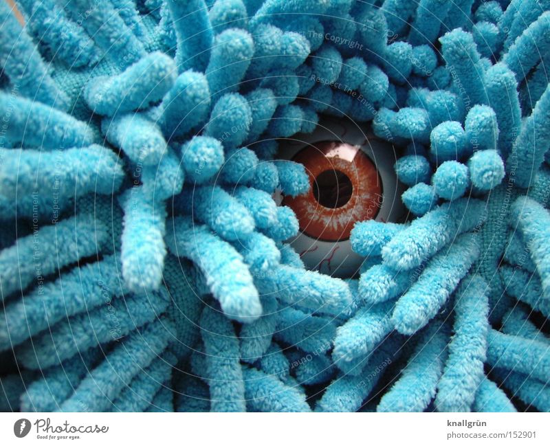 Keep an eye on you! Eyes Observe Pupil Looking Fix Glittering Reflection Brown Blue Hide Camouflage Monster Obscure Concentrate chenille shag