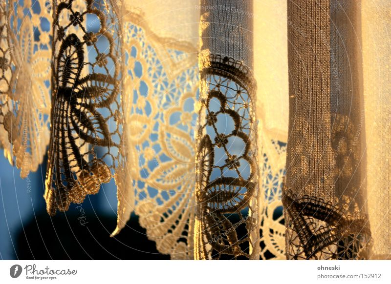 Evening light in mother's curtain Curtain Drape Lace Light Evening sun Shadow Gold Blue Winter Cold Window Cozy Comfortable Warmth Living room Decoration Detail