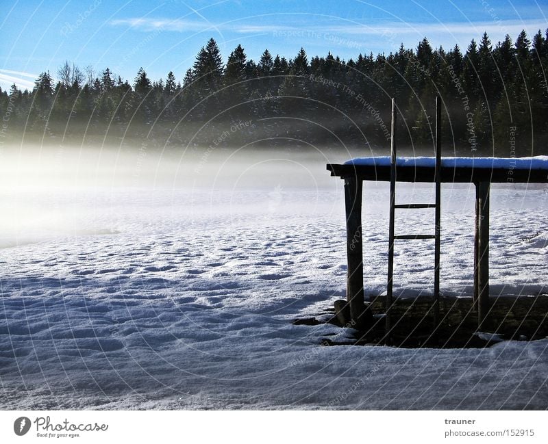 Where is the water? Lake Footbridge Snow Ice Fog Forest Sky Bad weather Eerie Loneliness Cold Winter Dark
