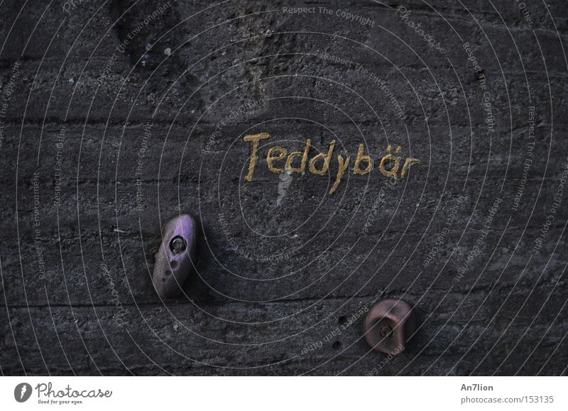 teddy bear Teddy bear Wall (barrier) Word Letters (alphabet) Gray Ochre Climbing wall Duisburg Characters