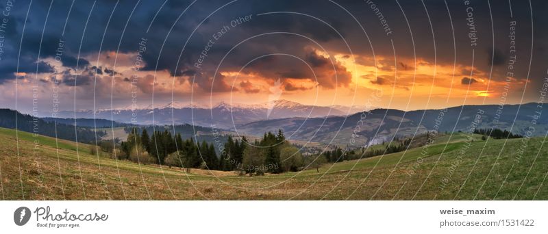 April storm and sunset. Spring evening Beautiful Vacation & Travel Summer Sun Snow Mountain Nature Landscape Plant Sky Clouds Storm Rain Tree Grass Meadow