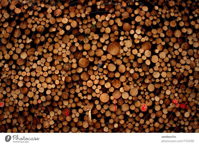 wood Wood Stack Storage Saw mill Forestry Harvest Annual ring Tree trunk Structures and shapes Arrangement cubic metre furniture factory Forester