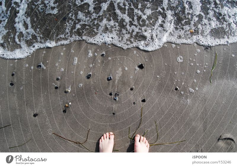 A Piede! Copenhagen Feet Beach Ocean Water Denmark Toes Sand North Sea Waves Foam Barefoot