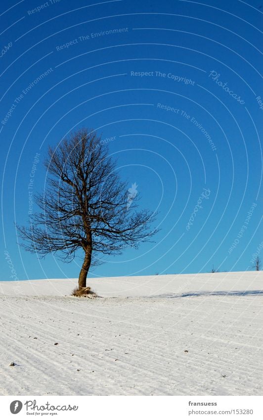 white/blue Tree Snow Blue Sky Winter Loneliness White Nature Poetic Bavaria Vacation & Travel Relaxation To go for a walk
