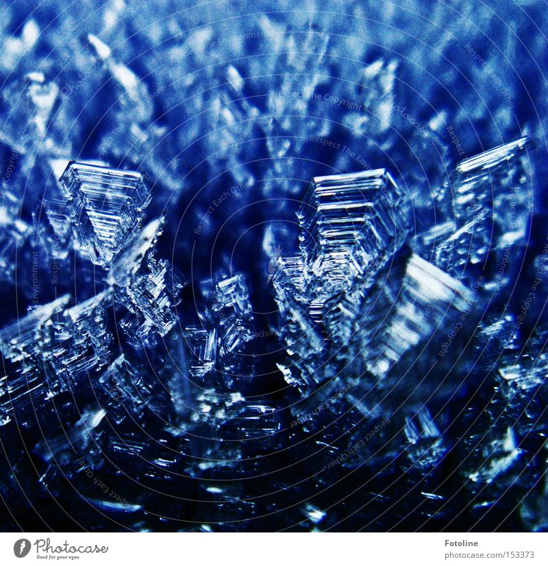 Ice crystal meeting on the buoy Frost Cold Frostwork Window pane Car Window Morning Blue Black Winter Freeze Glass Beautiful