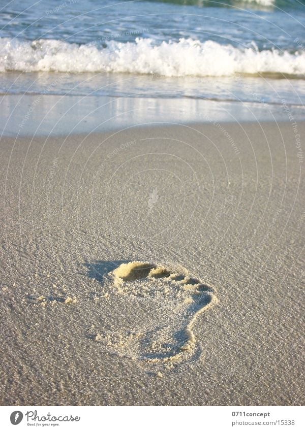 Towards the Sea Footprint Ocean To go for a walk Relaxation Tracks Sand Barefoot