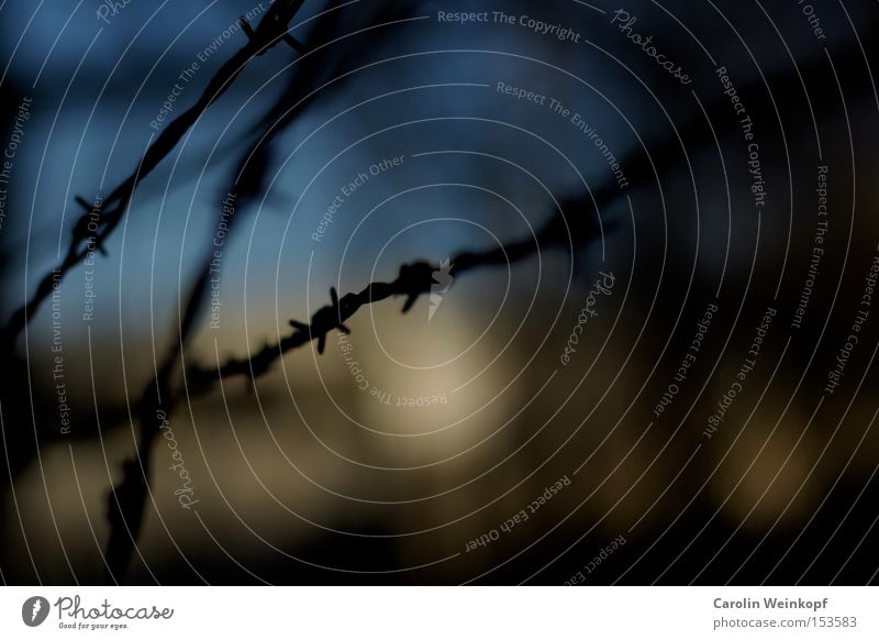 Forbidden. Barbed wire Border Bans Blue Yellow Brown Black Fence Protection Fear Safety Derelict