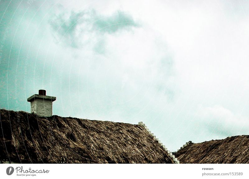 roof landscape Reet roof Grass Roof Organic Old fashioned Ireland Marsh grass