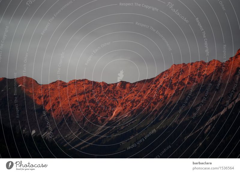 Drama in the alpine sky Nature Elements Earth Air Sky Clouds Climate Alps Mountain Allgäu Alps Peak Dark Red Moody Horizon Far-off places Colour photo