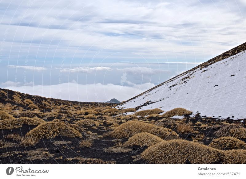 Above the clouds, landscape on Etna Hiking mountain hiking Landscape Plant Elements Air Sky Clouds Winter Weather Snow Drought Prickly bush Volcano etna Sicily