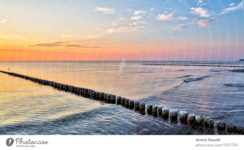 groynes Life Harmonious Well-being Contentment Senses Relaxation Calm Vacation & Travel Summer vacation Beach Ocean Island Waves Nature Landscape Water Sunrise