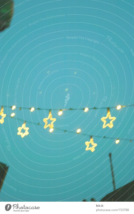 STARS DRY LINE Lamp Feasts & Celebrations Sky Happy Creativity Background picture Star (Symbol) Christmas & Advent Light Fairy lights Christmas Fair