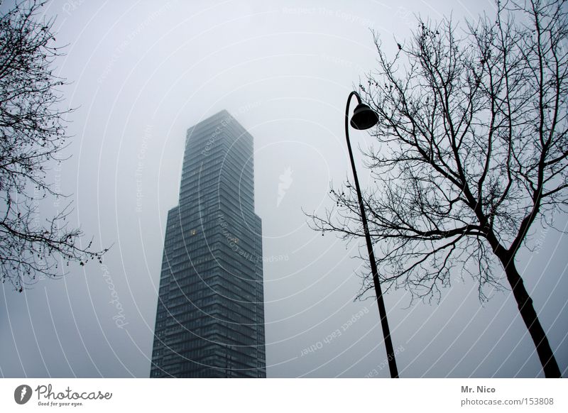 instead of landscape High-rise Building Fog Window Street lighting Town Gray Loneliness Concrete block Office building Tree Modern Germany Architecture