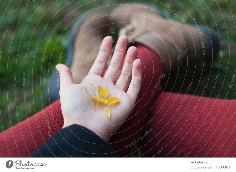 Leaf on palm of hand Hand Autumn Yellow Safety (feeling of) Colour photo Exterior shot Shallow depth of field