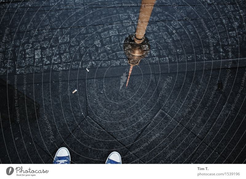 Berlin Middle Town Capital city Downtown Pedestrian precinct Stagnating Puddle Chucks Television tower Sidewalk Colour photo Exterior shot Morning