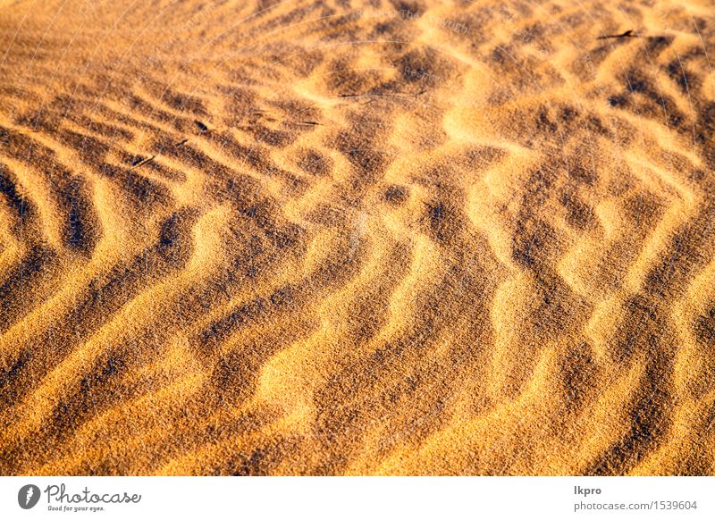 the brown sand dune in the sahara morocco desert Beautiful Vacation & Travel Wallpaper Nature Landscape Sand Beautiful weather Virgin forest Hill Hot Brown