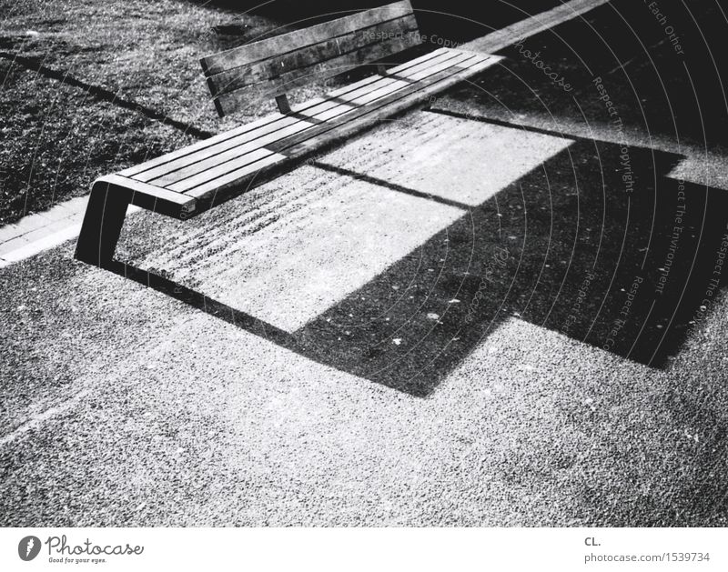 bench Beautiful weather Park Lanes & trails Bench Break Black & white photo Exterior shot Deserted Copy Space bottom Day Light Shadow Contrast Sunlight