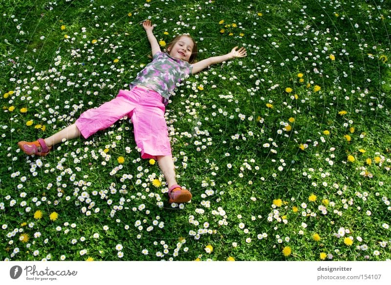 spring dream Meadow Grass Flower Daisy Child Girl Lie Laughter Joy Warmth Sun Paradise Spring Summer