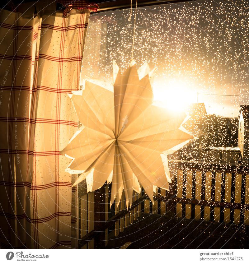 Paper flower in the rain dance Glass Brown Multicoloured Yellow Gold Red Paper rose Window Rain Drape Room Looking Observe Glittering Balcony Colour photo