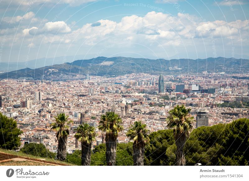 Barcelona Lifestyle Luxury Style Vacation & Travel Tourism Sightseeing City trip Summer vacation Environment Nature Sky Clouds Beautiful weather Palm tree Park