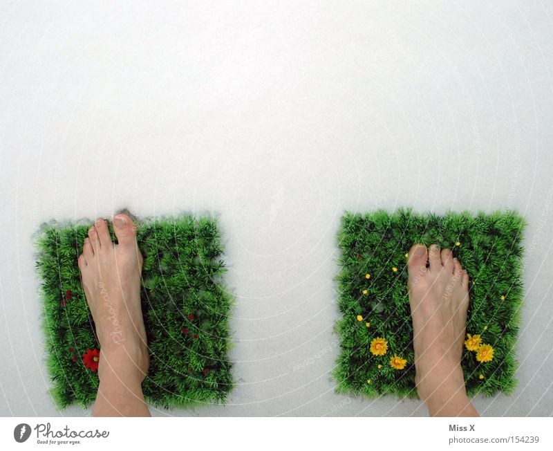 That's how it all started II* Colour photo Exterior shot Winter Snow Feet Spring Flower Grass Meadow Doormat Freeze Cold Green Toes Frost Barefoot Frozen Carpet