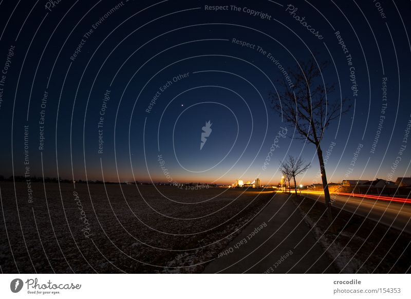 Blue hour Field Gravel plant Stars Night Winter Cold Romance Frozen Motor vehicle Car headlights Tree Loneliness Rear light Twilight Sunset