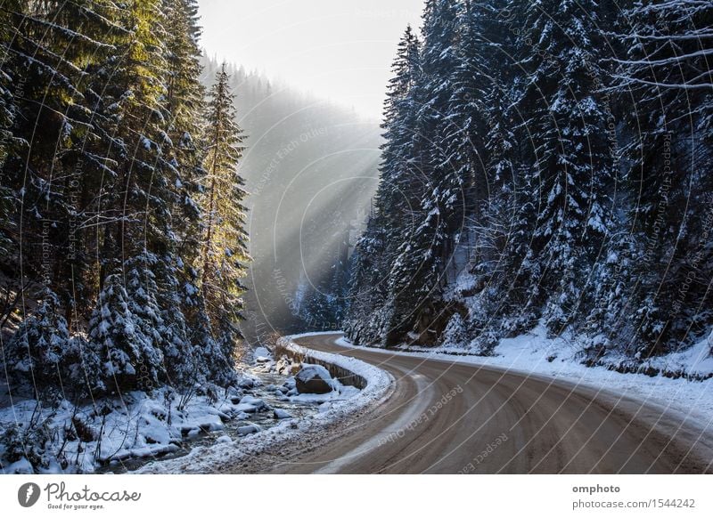 Photo By Liliia Kuznetsova, Winter, Snow, Tree, Landscape, Mountain,  Nature, Water, Cold, Sky, Ice, Forest, Blue, Frost, Wood, White, View,  Mountain