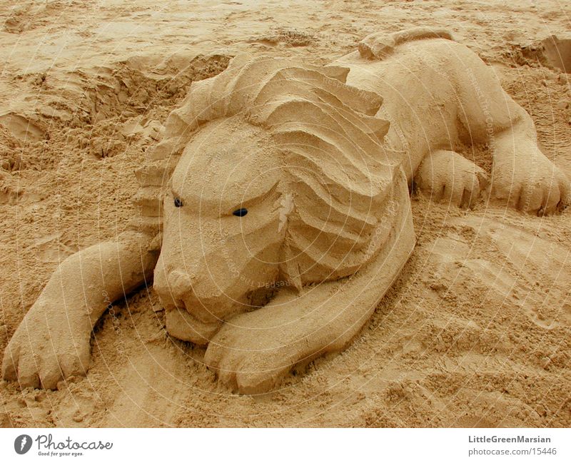 alternative to sandcastle [07] Beach Lion Sculpture Leisure and hobbies Sand