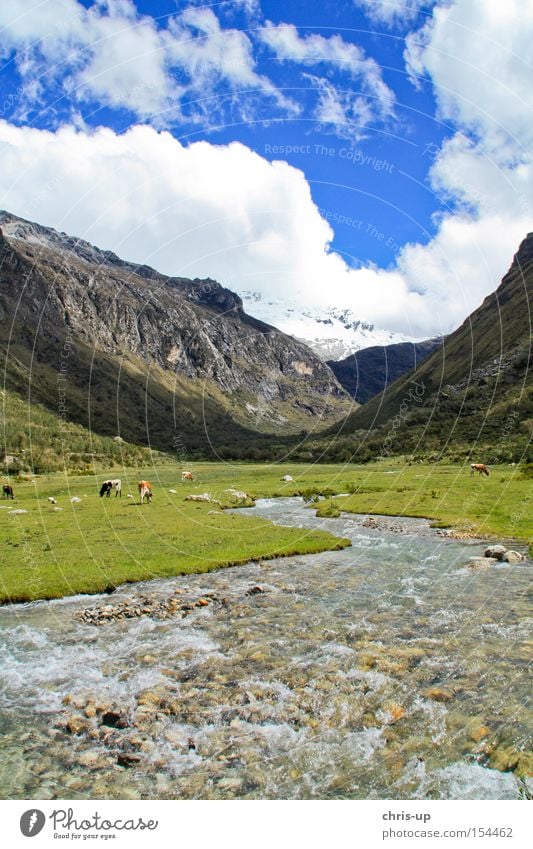 River in the Andes in Peru National Park Landscape High plain Mountain Clouds Gorgeous Beautiful Brook South America Romance Meadow