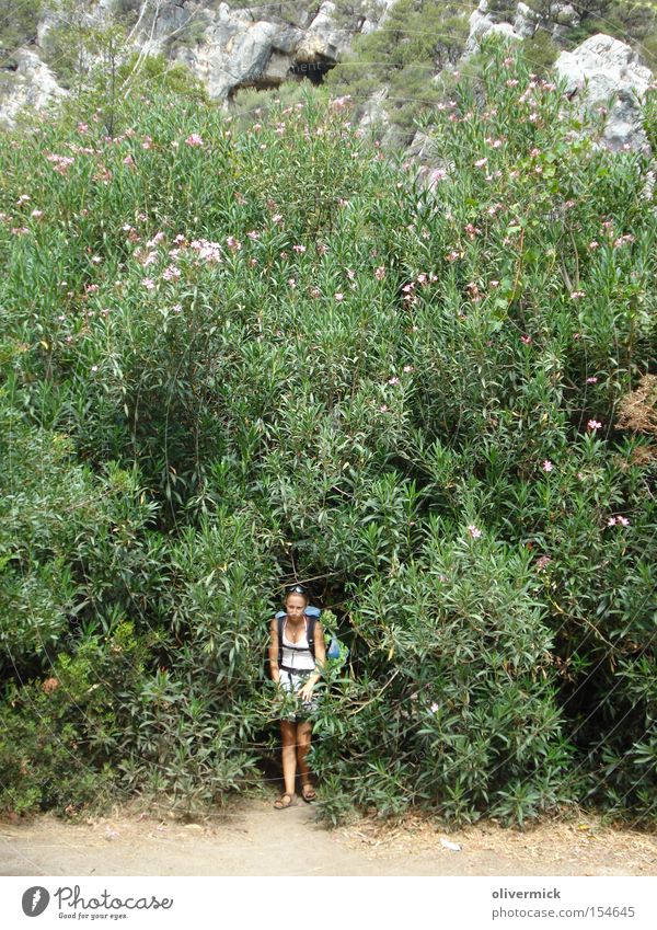 under the oleander Oleander Flower Bushes Woman Sardinia Plant Large Blossom Summer