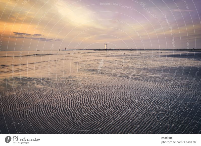 Traces in the sand Nature Landscape Sand Water Sky Clouds Horizon Sunrise Sunset Summer Weather Waves Beach Baltic Sea Exotic Maritime Yellow Gray Violet Orange