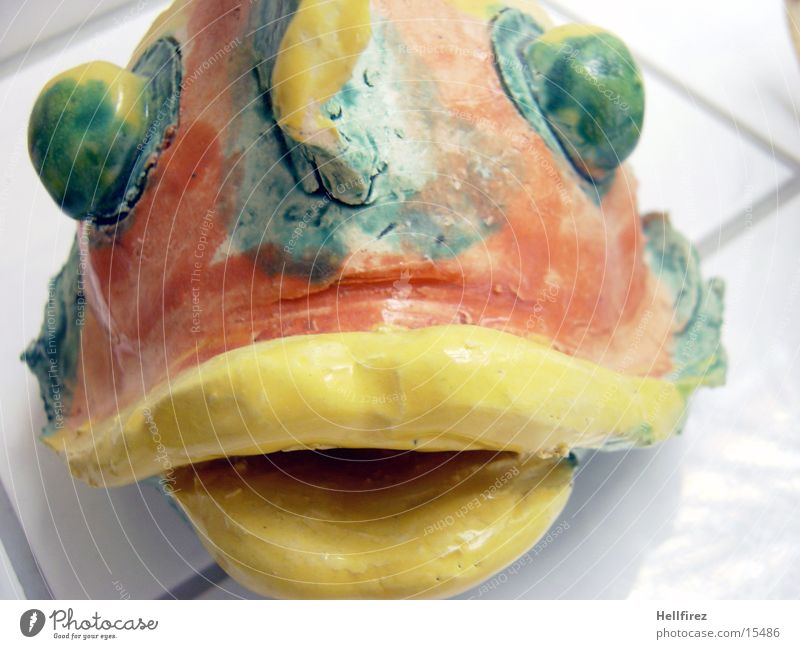 The Beast Pottery Multicoloured Simplistic Craft (trade) Fish Self made big eyes Macro (Extreme close-up)
