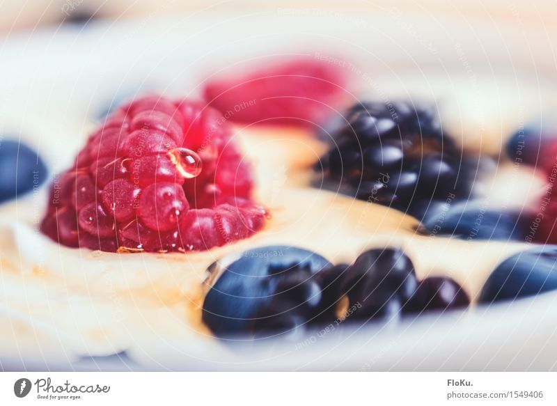 Quark with berries - Lensbaby Style Food Dairy Products Fruit Dessert Nutrition Breakfast Organic produce Vegetarian diet Diet Fresh Healthy Delicious Sweet