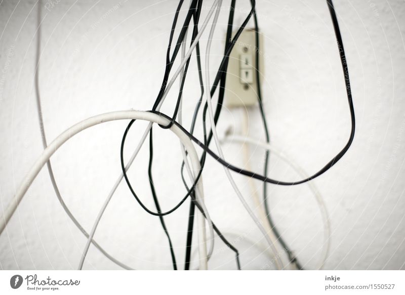 tangled cables Cable Terminal connector Technology Hang Untidy Chaos Muddled Black White Coil Bright background Electricity Colour photo Subdued colour
