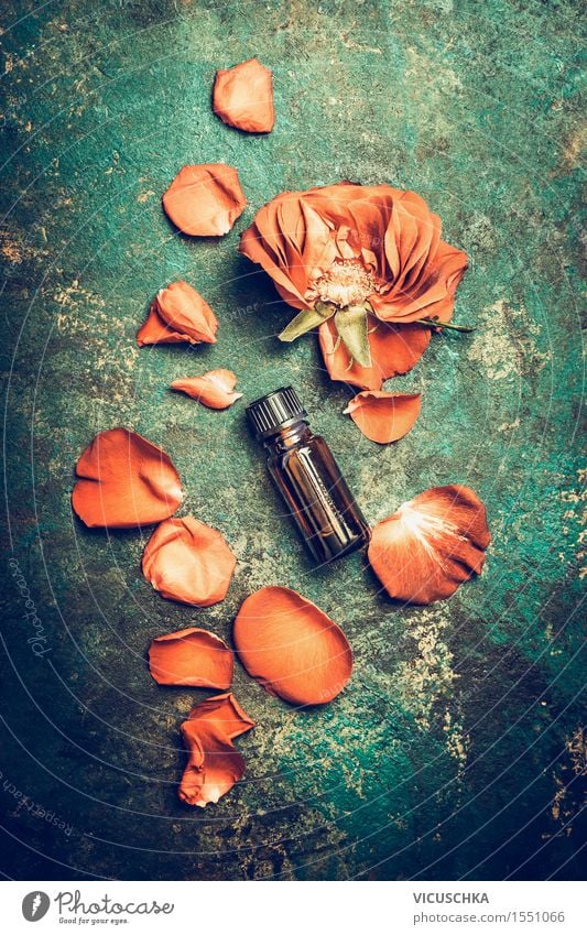 Rose oil. Essential oil with rose petals Style Beautiful Cosmetics Perfume Healthy Wellness Well-being Senses Relaxation Fragrance Spa Massage Nature Plant