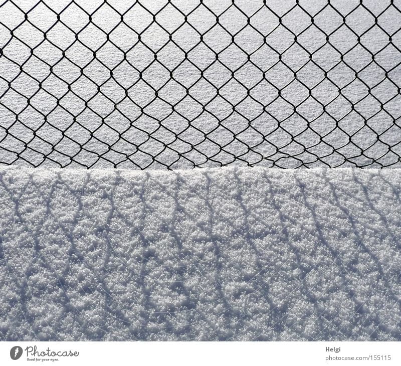 Wire mesh fence ... Fence Wire netting Wire netting fence Winter January Snow Cold Light Shadow Pattern Structures and shapes Black White Obscure Helgi