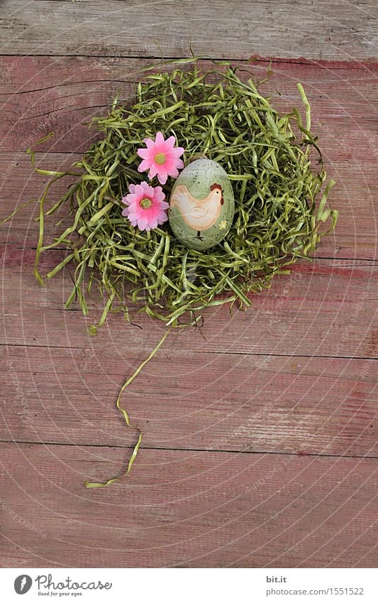 gockling Feasts & Celebrations Easter Decoration Religion and faith Tradition Easter egg Easter Bunny Easter egg nest Nest Moss Grass Wood Vintage Flower