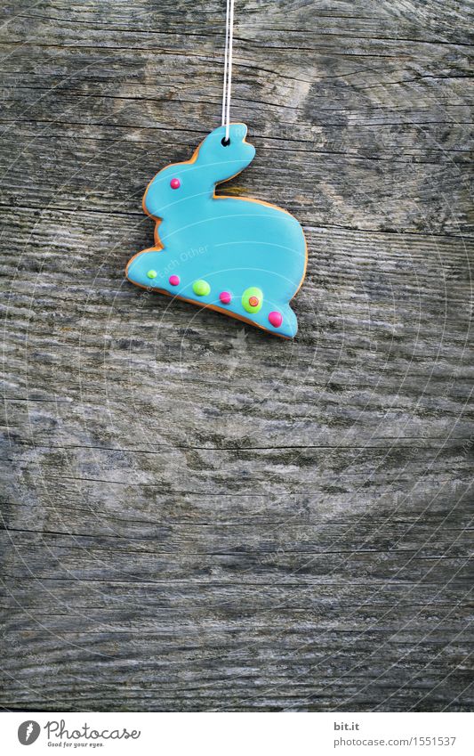 "Blue Monday Bunny. Feasts & Celebrations Easter Hare & Rabbit & Bunny Chocolate Easter Bunny Easter egg nest Easter wish Checkmark Wood Vintage Colour photo