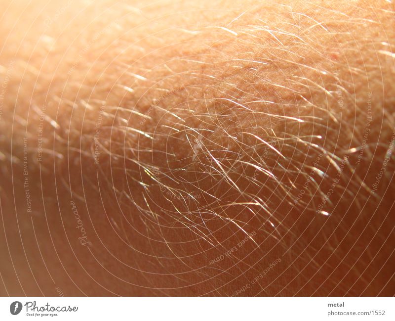 hair Human being Hair and hairstyles Macro (Extreme close-up)