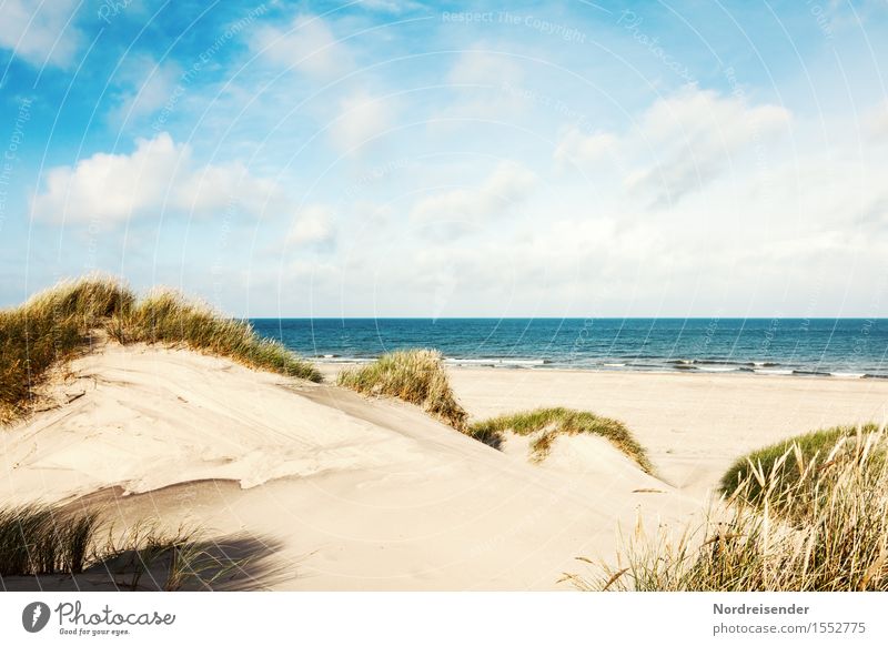 Summer in the dunes Harmonious Senses Vacation & Travel Tourism Far-off places Summer vacation Sun Beach Ocean Nature Landscape Sand Water Clouds