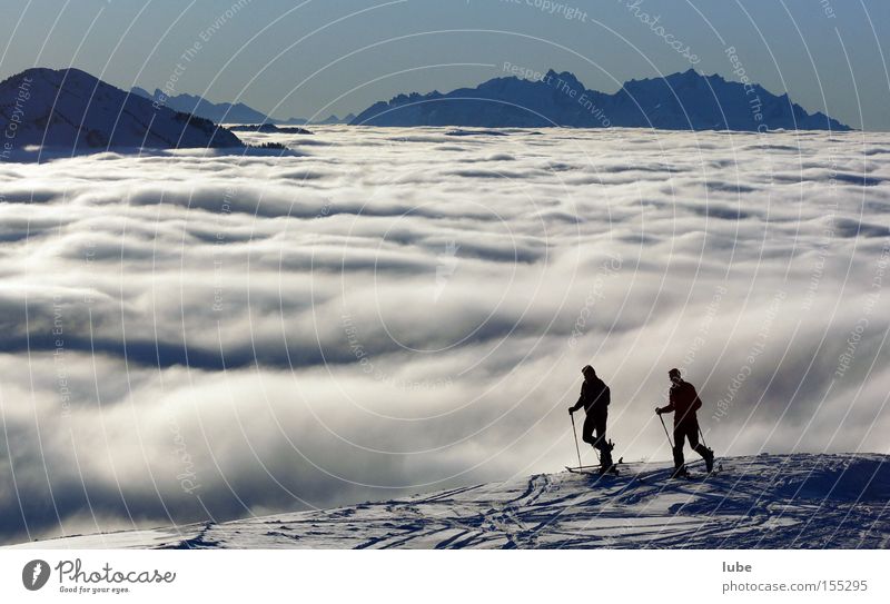 above the clouds Clouds Mountain cloud Cloud field Band of cloud Wisp of cloud Cloud cover Winter Ski tour Skiing Skis Mount Säntis Forest of Bregenz Tourism