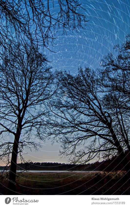 panta rhei Environment Landscape Sky Night sky Stars Horizon Spring Winter Fog Tree Grass Meadow Forest salow Rotate Illuminate Creepy Blue Gray Black