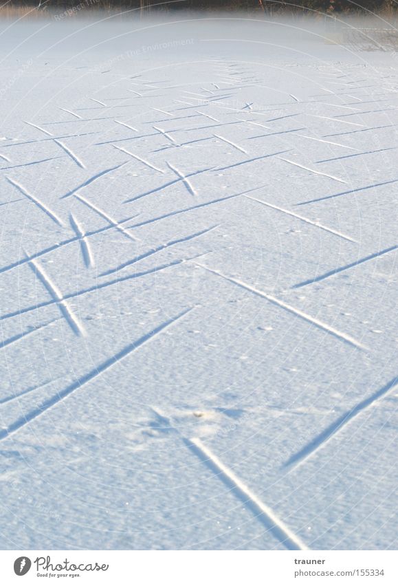 Walk on, Walk on! Winter Lake Fog Snow Ice Tracks Frozen Animal tracks Cold Dark Lanes & trails Empty