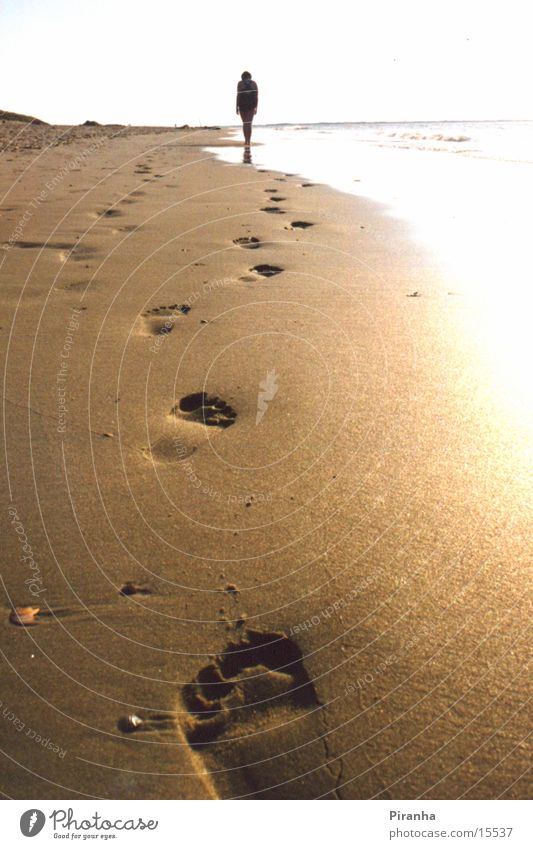 Traces in the sand Beach Footprint Ocean Tracks Sand Barefoot
