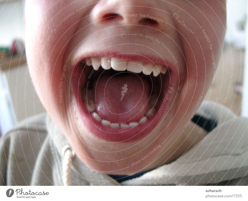 Shut the fuck up! Lips Child Human being Tongue Face Boy (child) my teeth Mouth Teeth