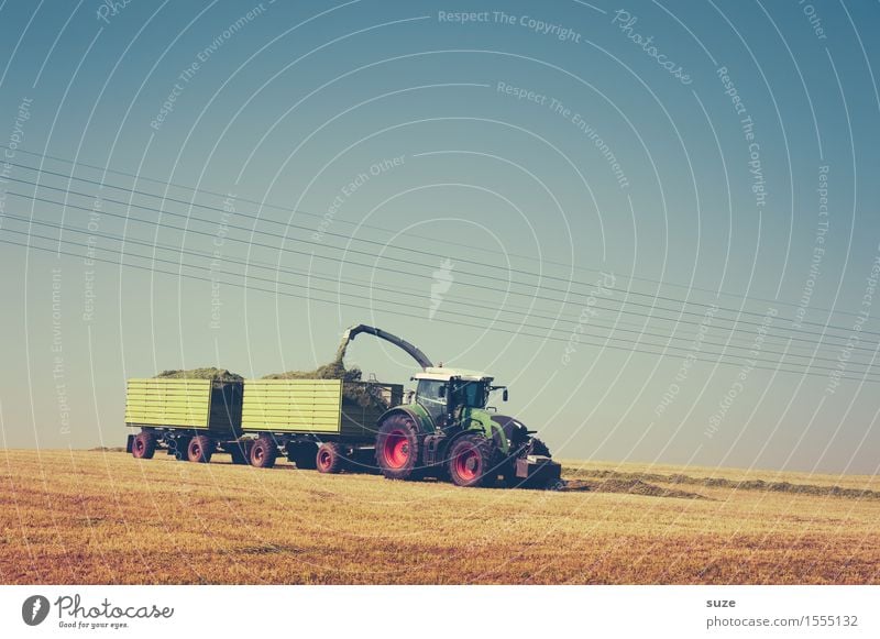farm work Summer Work and employment Agriculture Forestry Machinery Technology Environment Nature Landscape Earth Sky Horizon Beautiful weather Field Vehicle