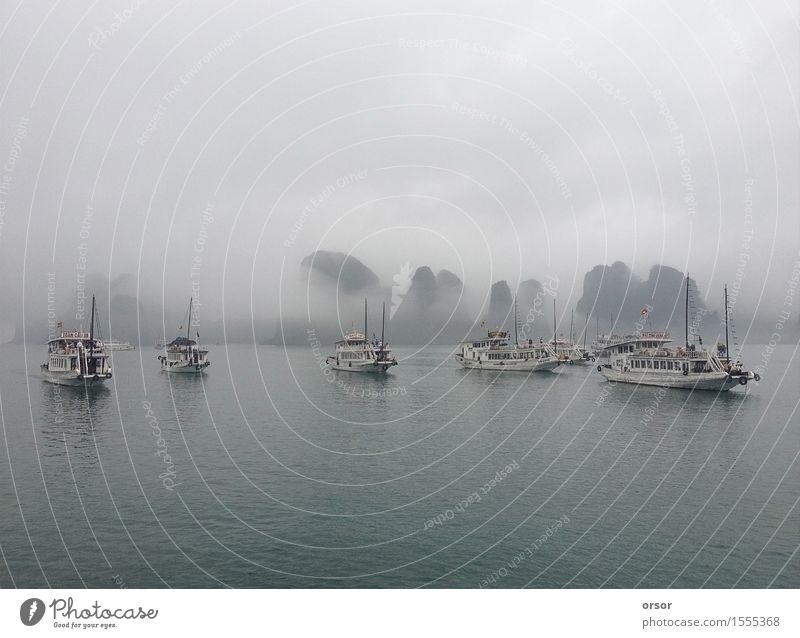 Ships in Halong Bay, Veitnam Luxury Exotic Relaxation Leisure and hobbies Vacation & Travel Tourism Trip Sightseeing Cruise Ocean Mountain Landscape Fog