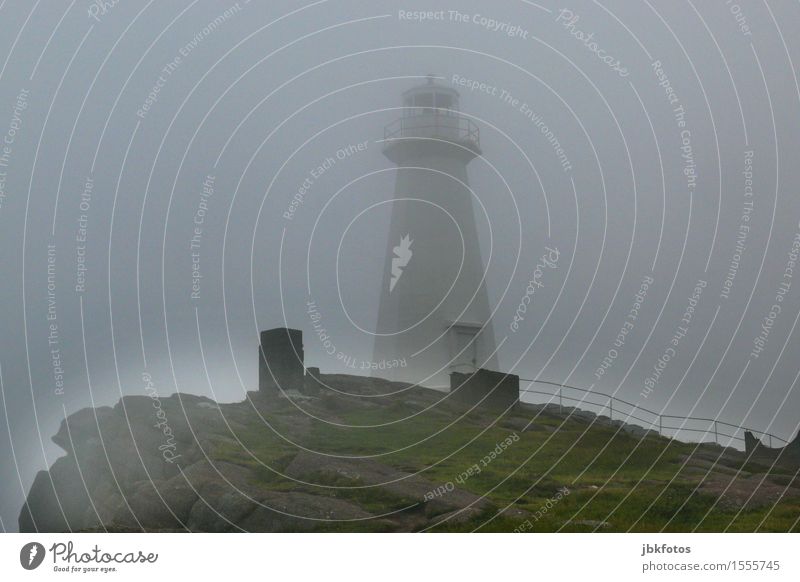 lighthouse Environment Nature Landscape Sky Clouds Weather Bad weather Gale Fog Grass Hill Mountain Moody Lighthouse Beacon Signal Wall of fog Gray Fjord