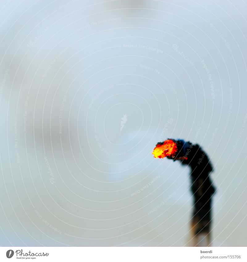 burnout Colour photo Interior shot Studio shot Detail Macro (Extreme close-up) Abstract Copy Space left Copy Space top Neutral Background Artificial light