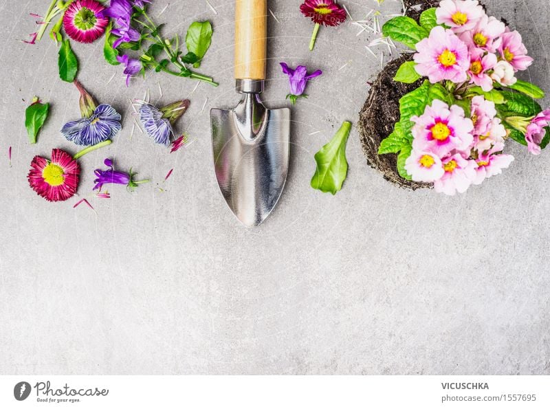 Gardening with flowers and shovel Style Design Leisure and hobbies Summer Table Nature Plant Flower Leaf Blossom Blossoming Yellow Shovel Pot plant